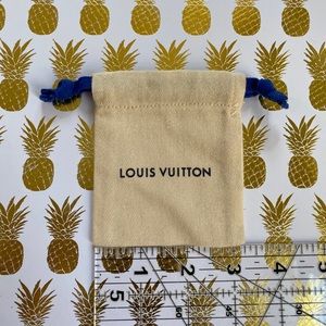 Louis Vuitton Small Pouch - Dust Bag - Storage Bag